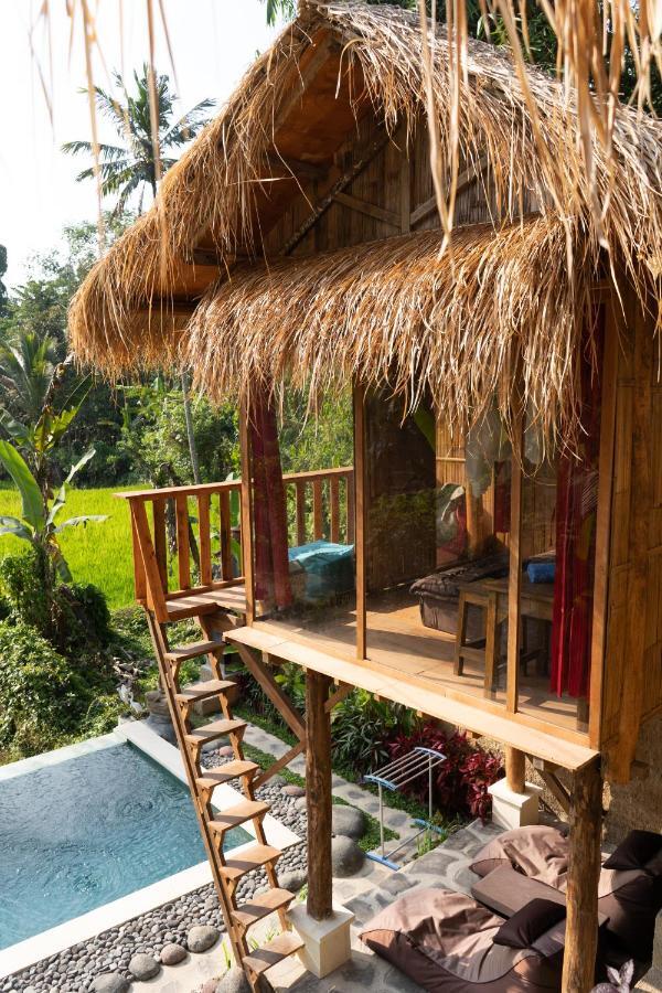 Bali Bamboo Jungle Huts And Hostel Tampaksiring Exteriör bild