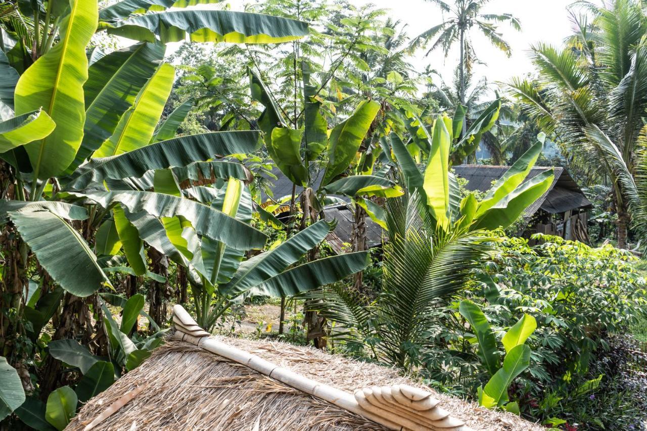 Bali Bamboo Jungle Huts And Hostel Tampaksiring Exteriör bild