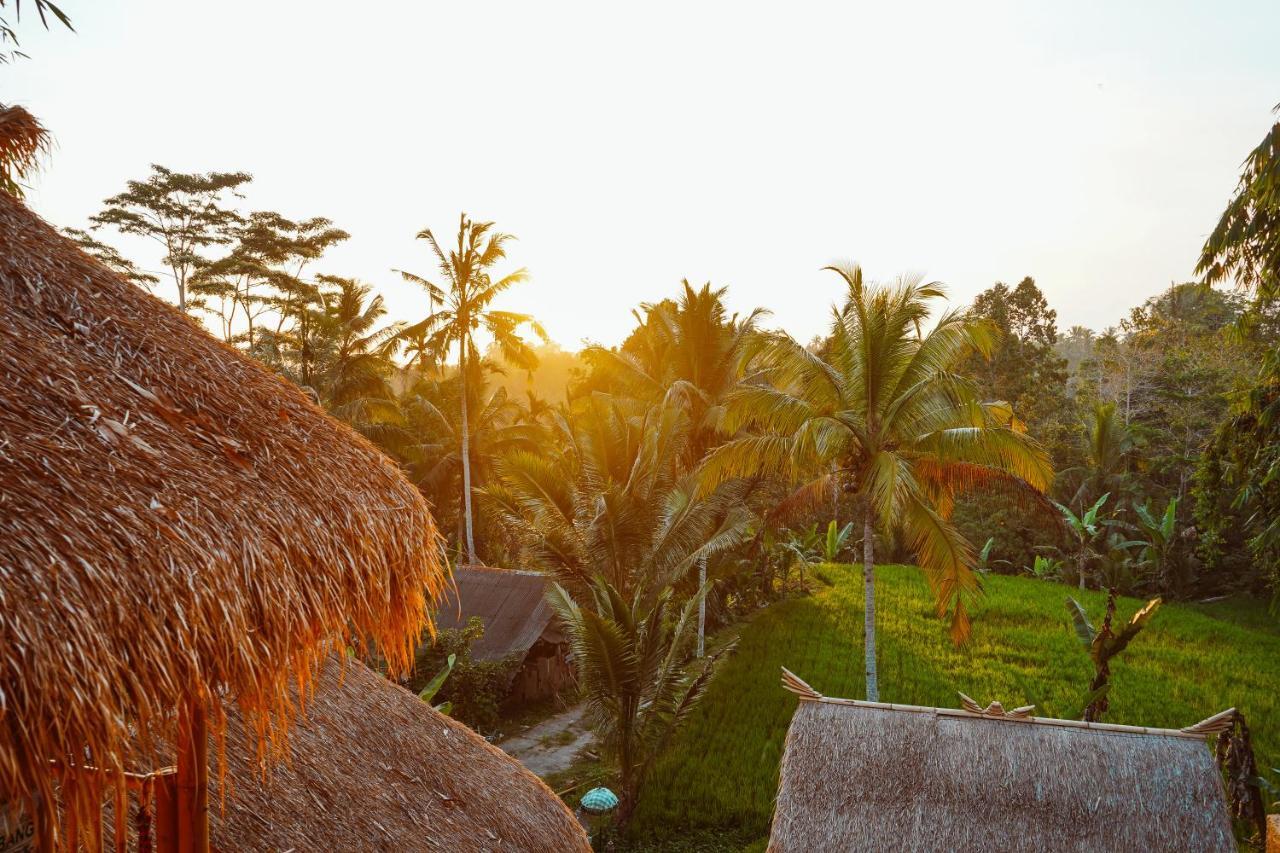 Bali Bamboo Jungle Huts And Hostel Tampaksiring Exteriör bild