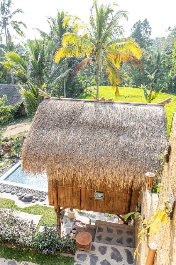 Bali Bamboo Jungle Huts And Hostel Tampaksiring Exteriör bild